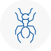 Ant Removals In Moorthorpe