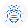 Bed Bug Extermination In Moorthorpe