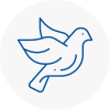 Bird Prevention Moorthorpe