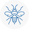 Moorthorpe Hornet Nest Removals