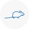 Mice Exterminators In Moorthorpe
