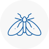 Moth Control Specialists In Moorthorpe