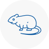 Rat Control Moorthorpe