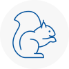 Moorthorpe Rodent Removals