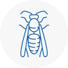 Moorthorpe Wasp Nest Removal